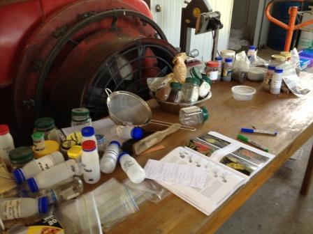 KCLG Nursery - Processing collected seed